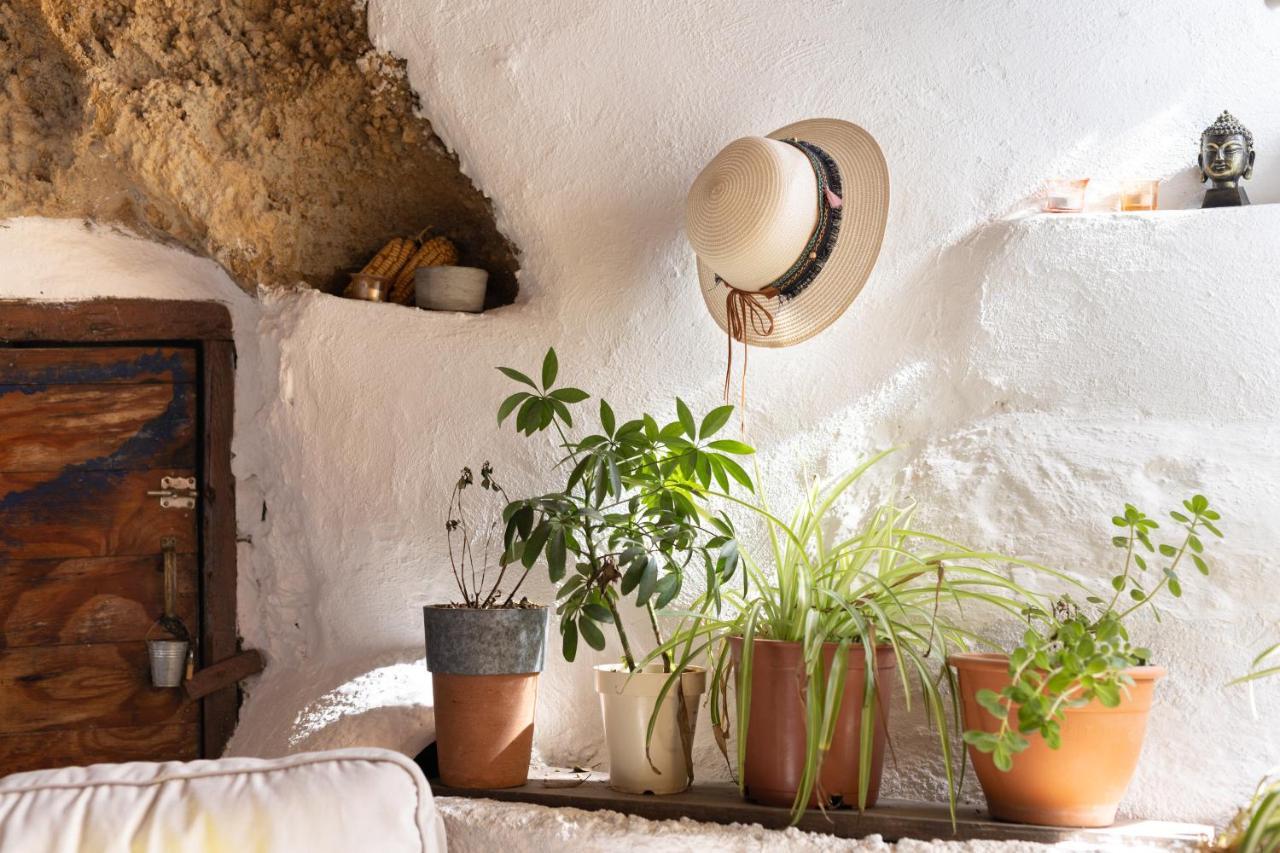 Casa Cueva Gaspara Arico 외부 사진